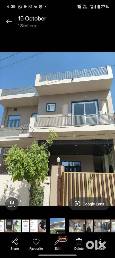 Pure vegetarian small family priority for government job