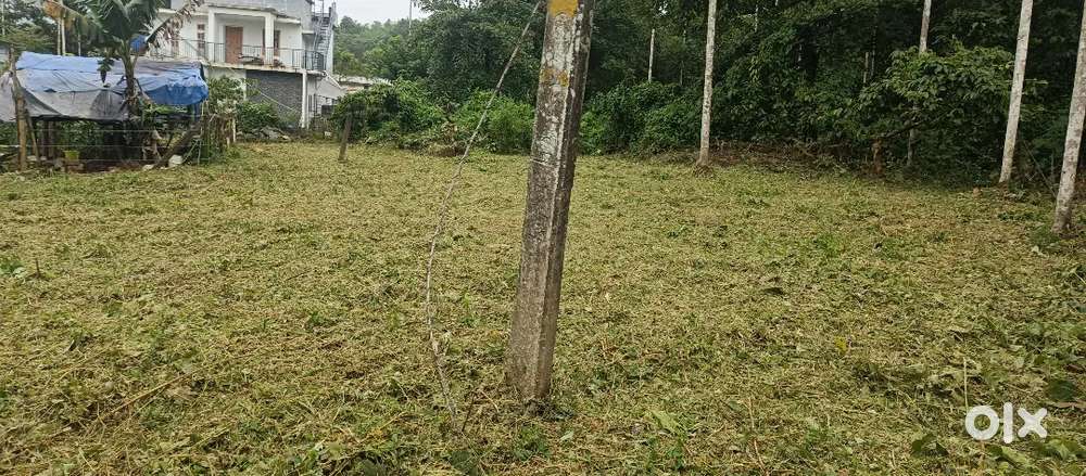 Plot for sale near milma wayanad diary