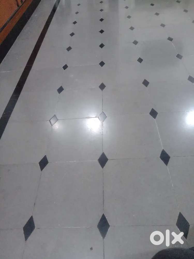 I want a single room or 1RK in Prakash nagar area.
