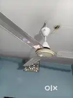 Baja high speed fan