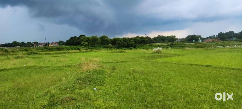 Cnt free resisted land