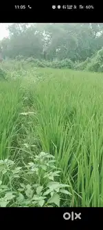 makan ke liye best hai