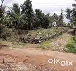 Plot for Sale in  Thodupuzha Town