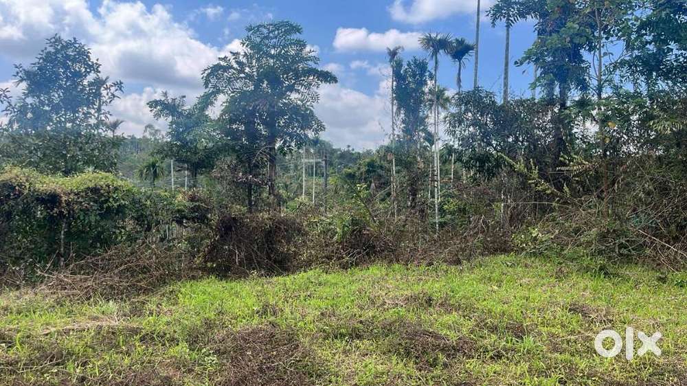 1.90 ACRE VIEW PLOT NEAR AMBALAVAYAL TOWN (WRE-407)