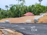 Plot for sale at reasonable price