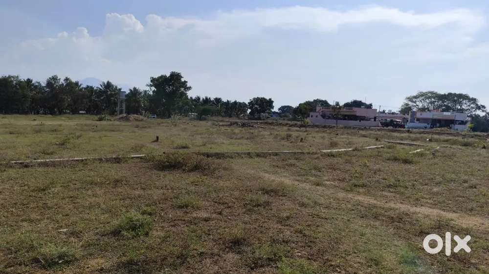 Urgent sale in kanjampatti Pollachi