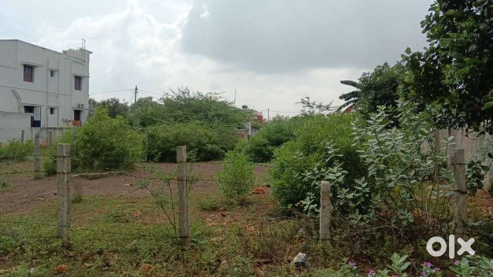 46.75 L for 5.50 cent plot