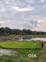 Genuine buyer pls call