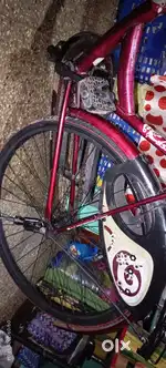 LADY BIRD & ROADEO BICYCLES FOR SALE
