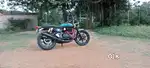 RED ROOSTER EXHAUST [GT650]