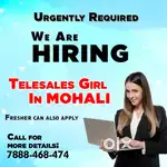 Telesales Girl