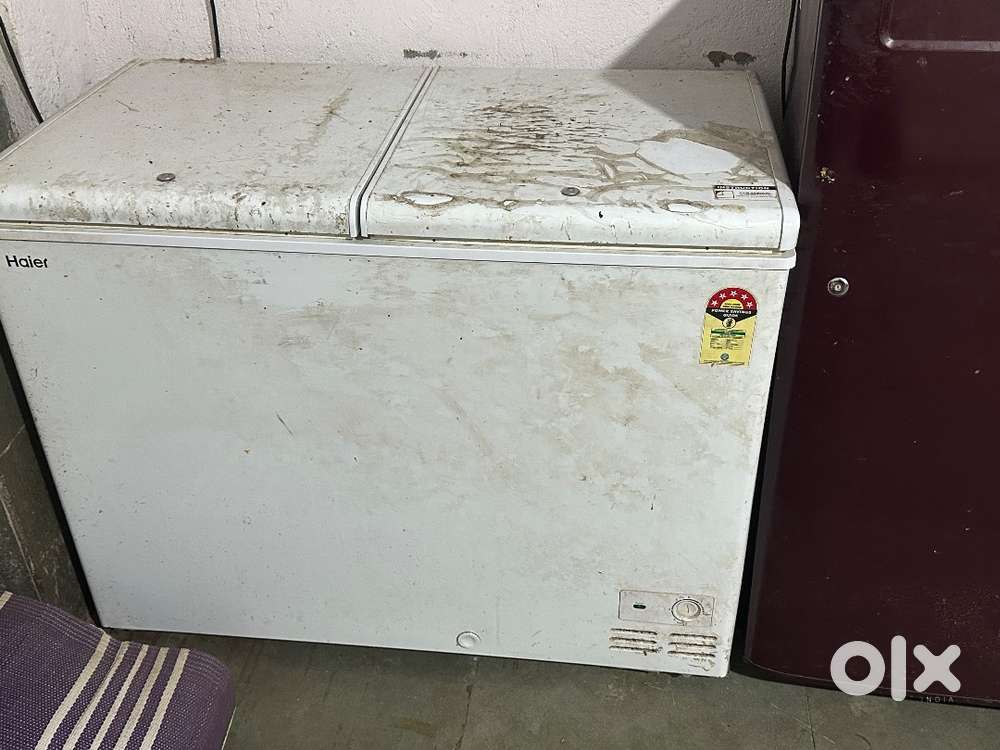 Commercial fridge and deep freezer (2 items)