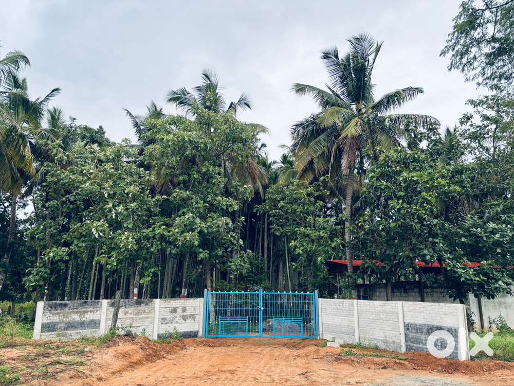 700 Arecanut and 100 coconut plant and 500 pepper plant one house