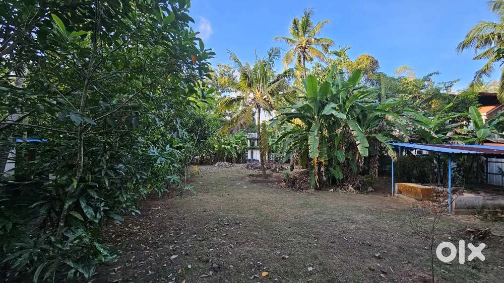 കൊല്ലം തേവലക്കരയിൽ 20 സെൻ്റ് സ്ഥലം വില്പനയ്ക്ക്