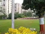 Furnished 1 BHK near Hinjewadi