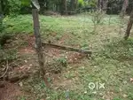 8 cent plot for sale... Or half of the land for sale