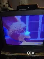 BPL TV good