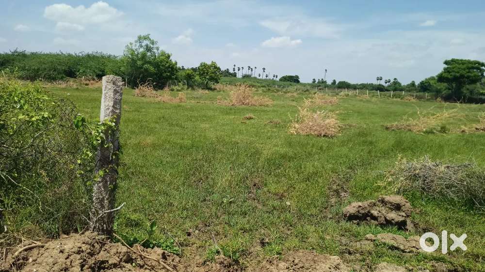 LAND AND PLOTS FOR SALES