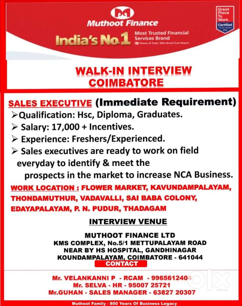 Sales executive