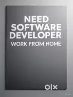 Work from home developer