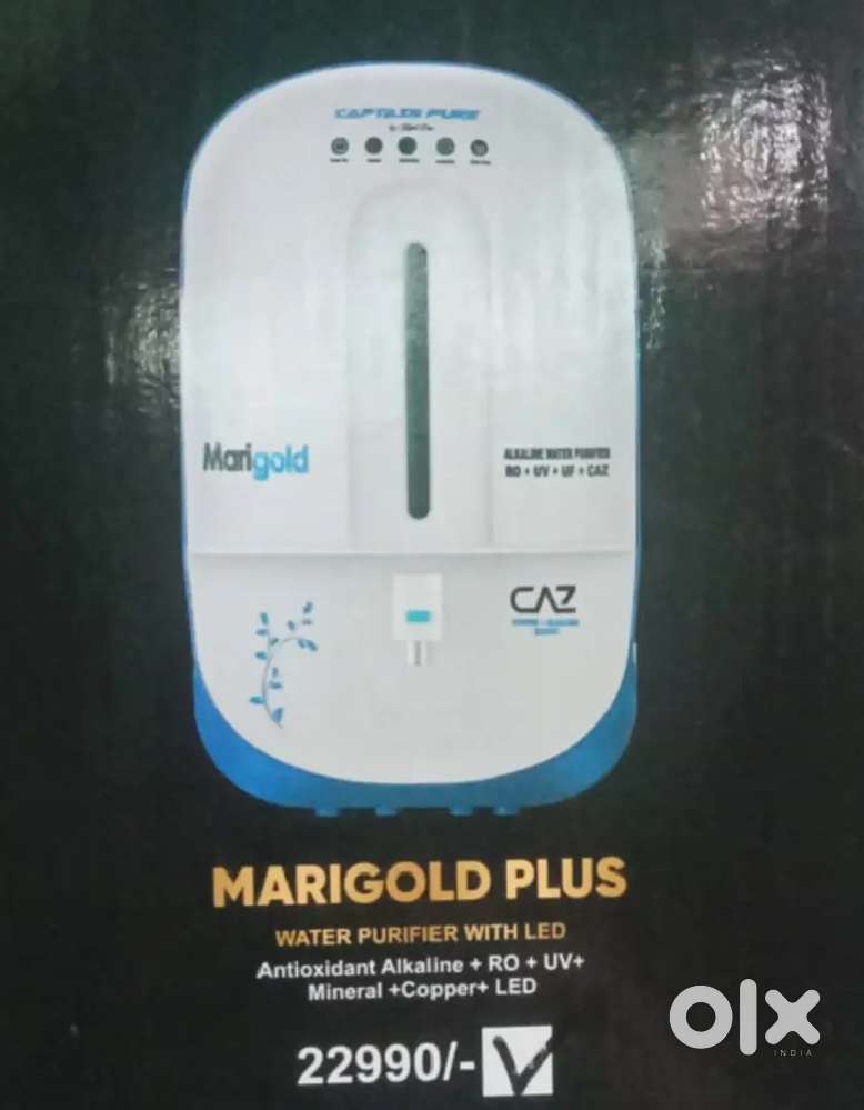 RO captain pure marigold 95a65a129062