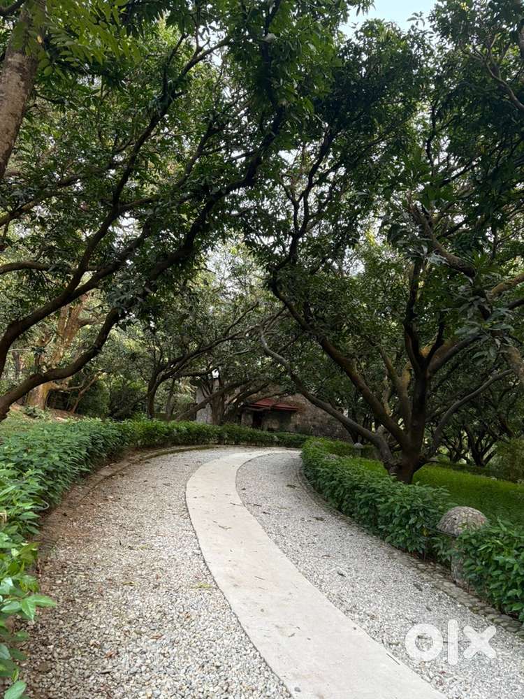 Sector 13 new Moradabad