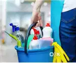 Home cleaning services