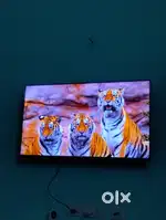 Web os LED tv 32in smart android LED tv low price