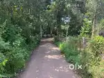 Kollam Keralapuram 40 cent 10 cent 7 cent 6 cent land available