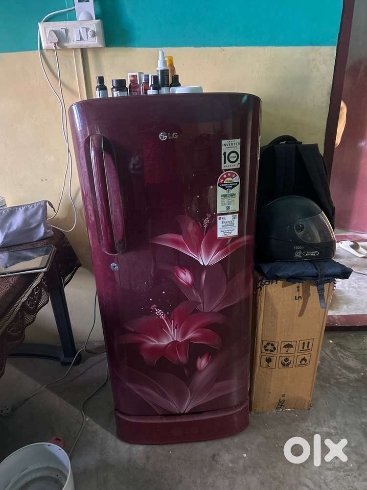 LG 2019 Model 4 Stars