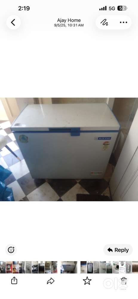 Blue star Chest/deep freezer 225