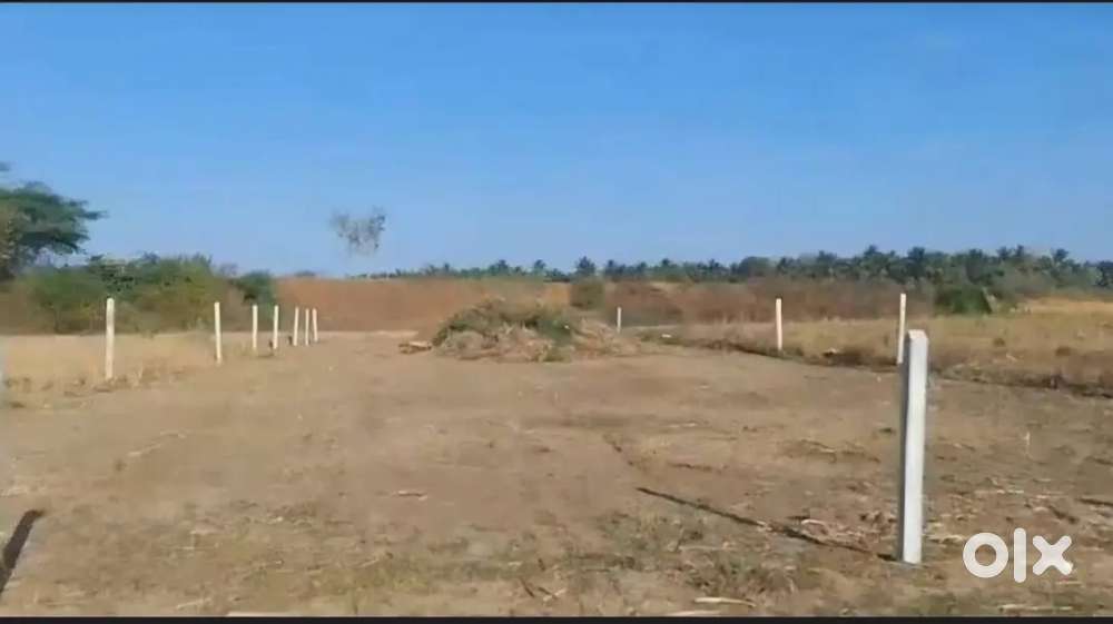 Residential plot Sale