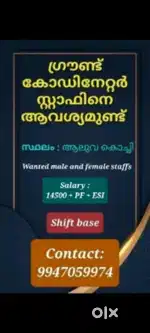 Wanted Male And Female Ground coordinator staffs For Aluva