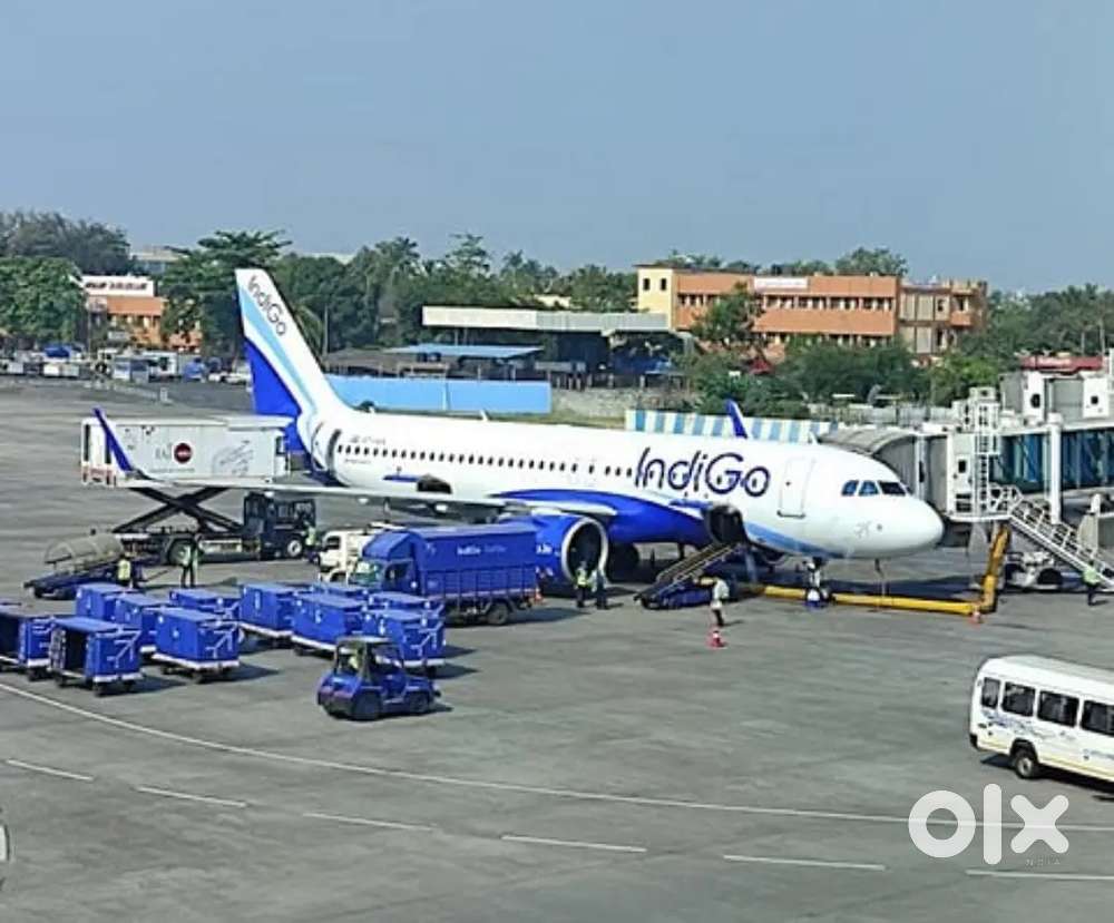 Cabin Crew/ Airport Ground Staff Jobs in Indigo airlines.Us