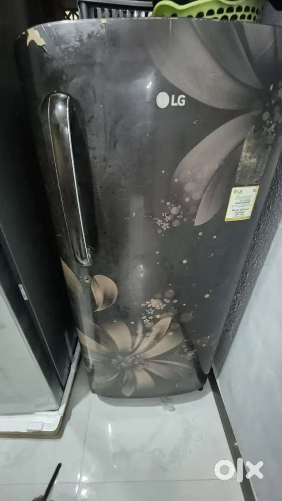 LG Fridge Working Perfectly