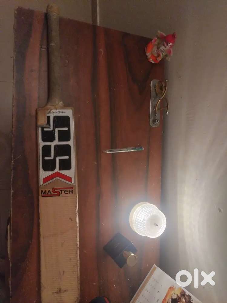 SS KASMIR WILLOW Cricket bat