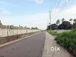 50 Cent Commercial Land for Sale – Near Koonammavu, Varapuzha