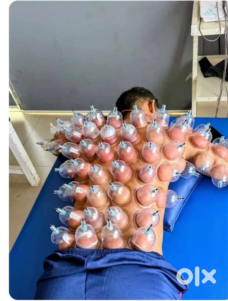 HEALING Horse physiotherapy clinic