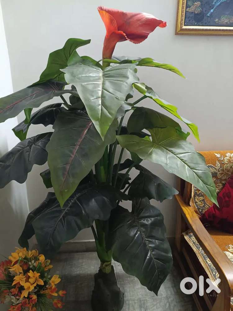 Artificial plant for drawing room decor