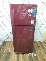 Godrej eon 231 ltrs latest flower model double door refrigerator*/*