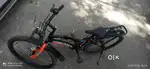 Actino Ladies Cycle