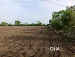 5-ACRE PRIME LAND FOR SALE – KAJALSARA (6KM FROM DEOLI),WARDHA