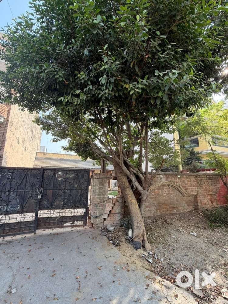 Plot for sale near cambridge school