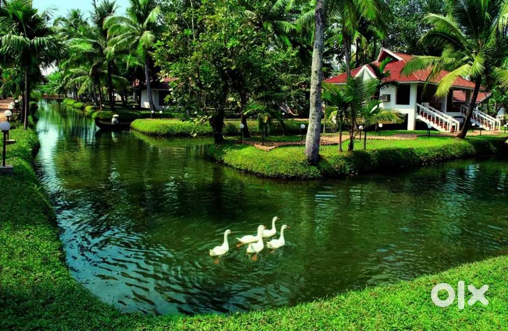 9 ഏക്കർ വില്പനയ്ക്ക്