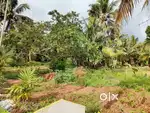 6-Cent Water Frontage Plot for Sale in Pooppali,Alappuzha