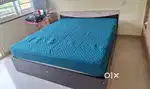 Blue colour bed only (SpRing zone)