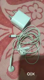 Apple original charger