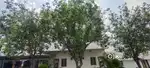 Independent House with 12+ rooms with Land