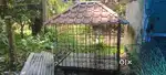 Dog cage 5*4