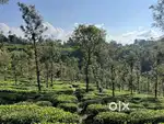 2 ACRE RESORT/VILLA LAND FOR SALE IN MANANTHAVADY